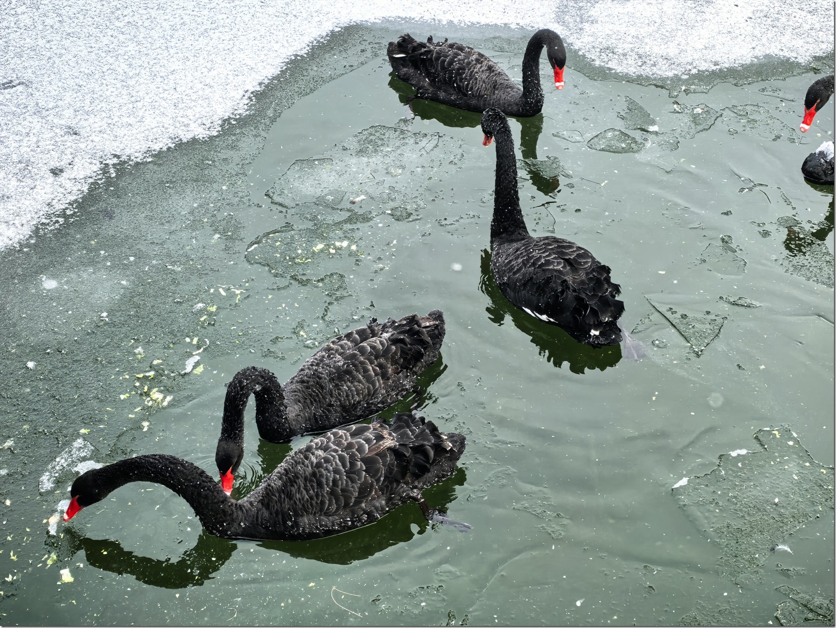 微信图片_20260118002123_600_504