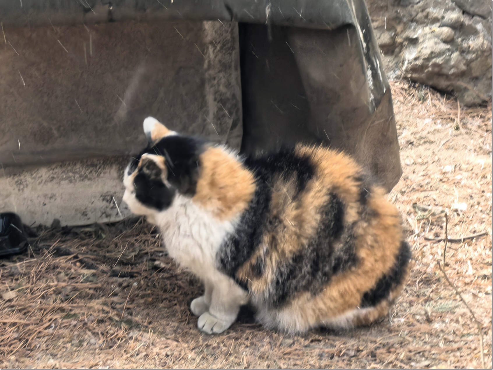 微信图片_20260118002202_628_504