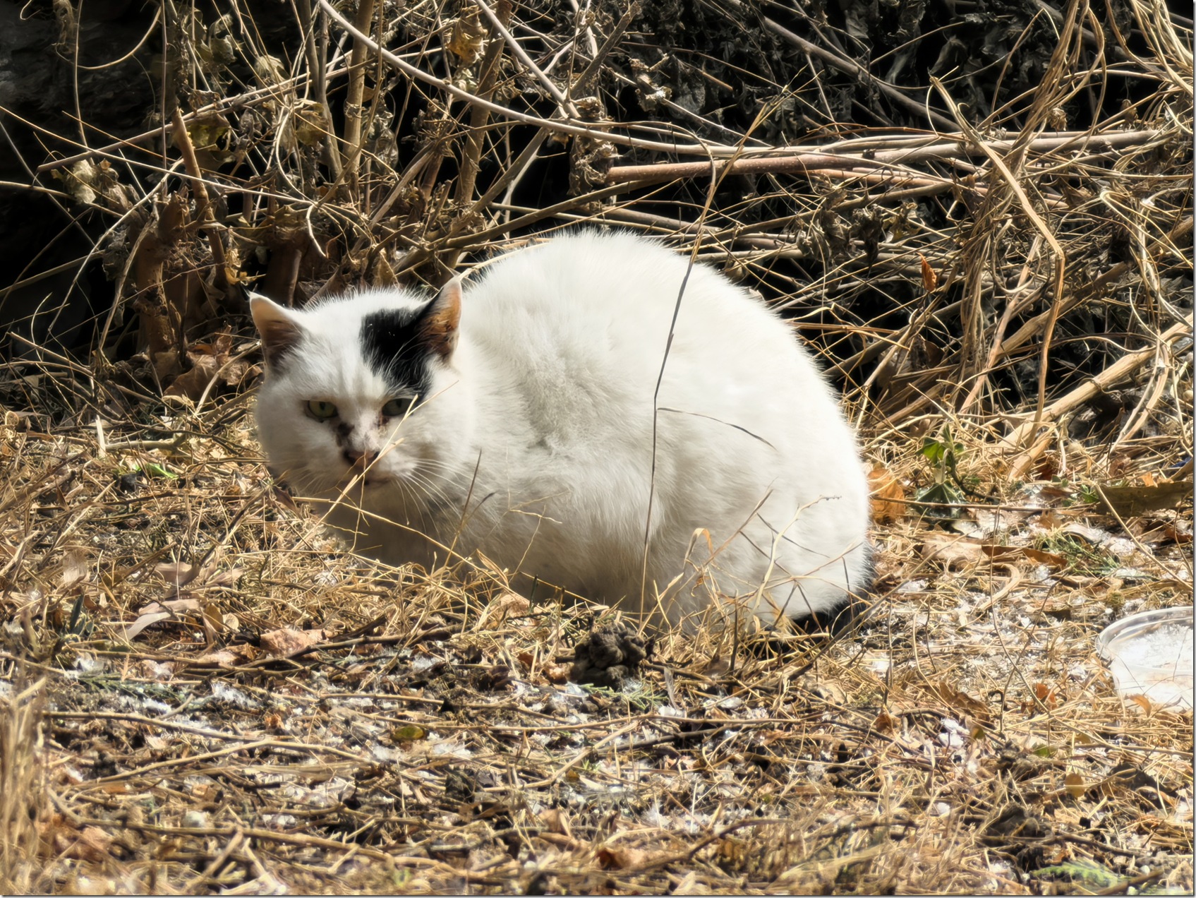 微信图片_20260118002206_631_504