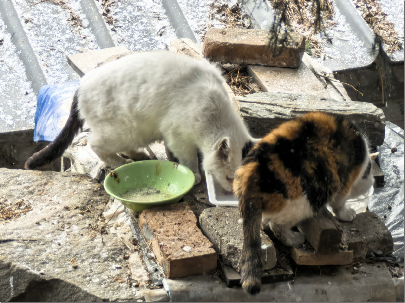 微信图片_20260118002231_650_504