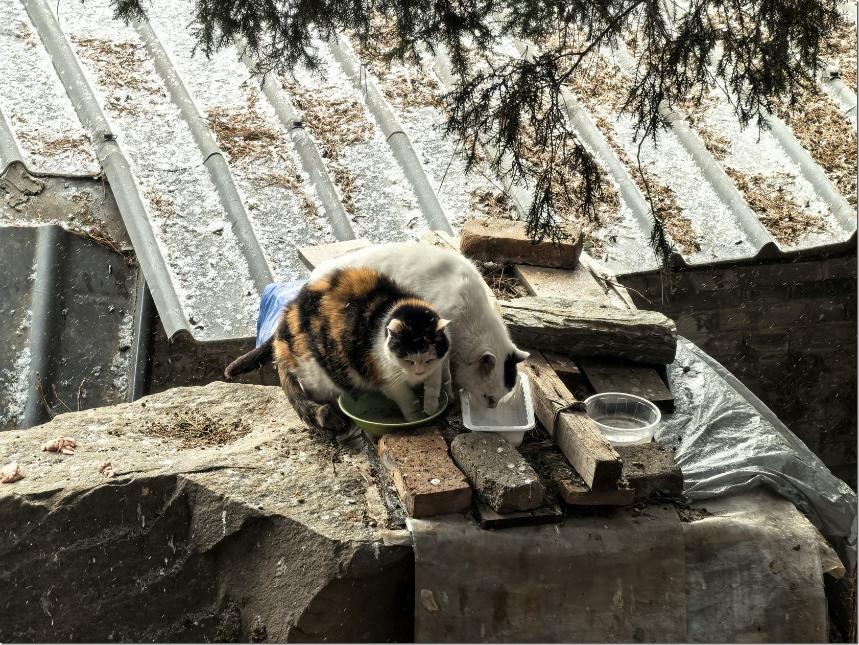 微信图片_20260118002234_652_504