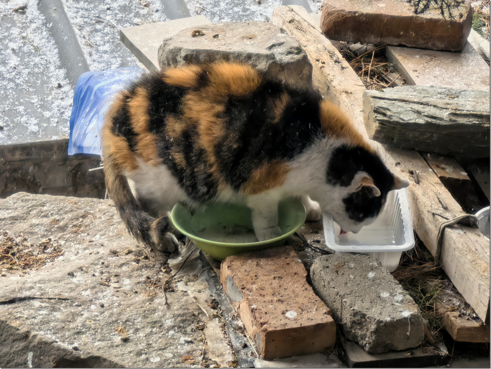 微信图片_20260118002243_658_504