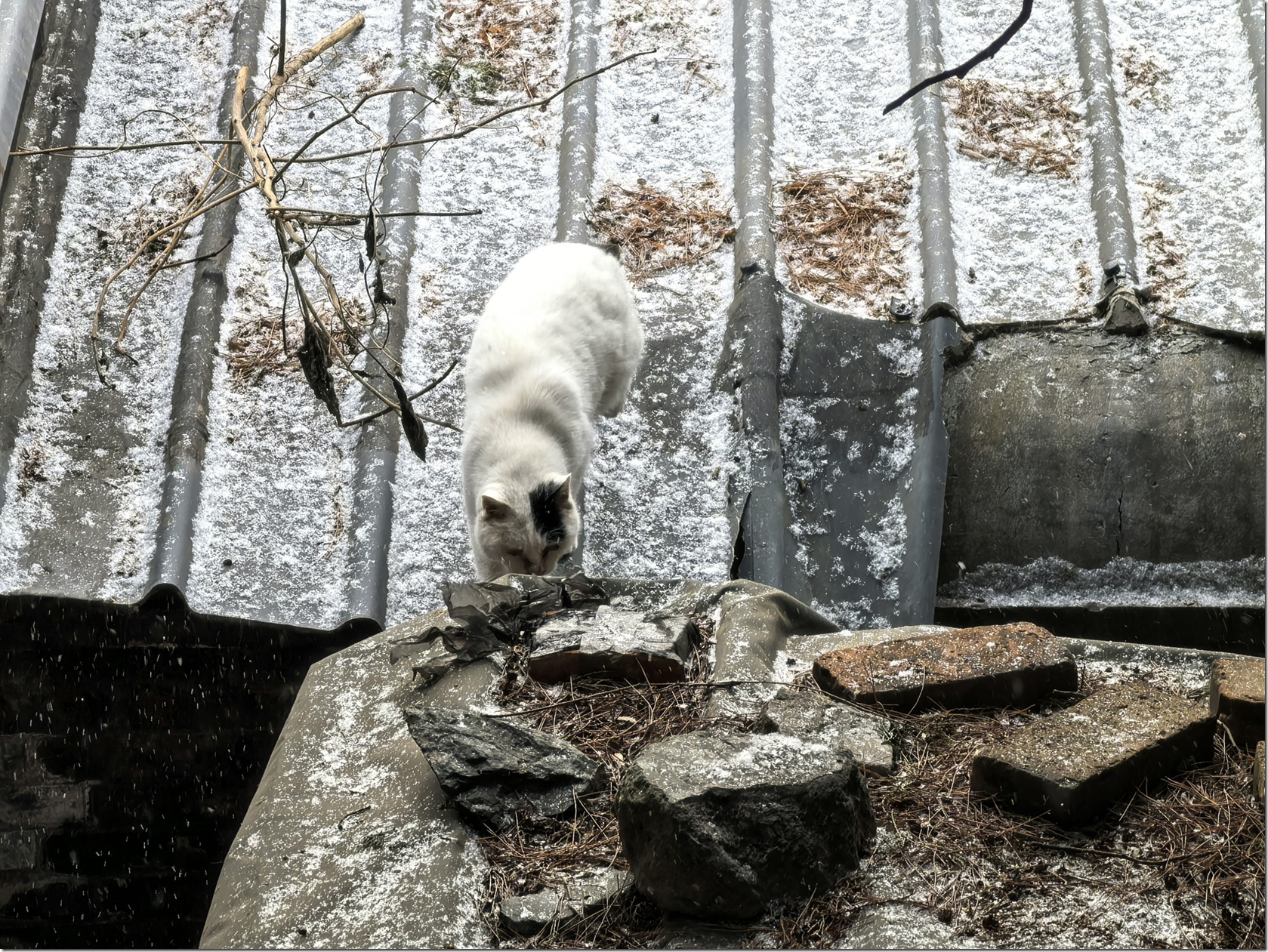 微信图片_20260118002246_661_504