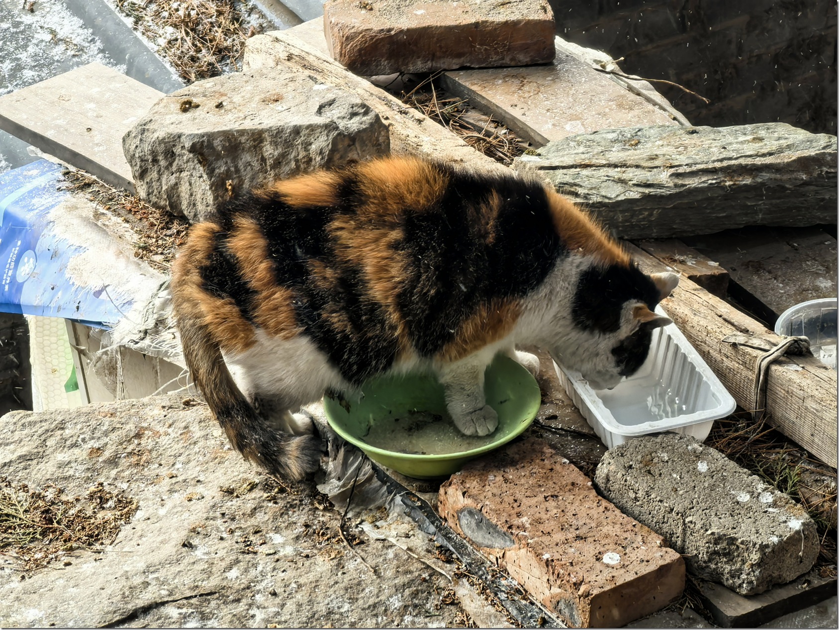 微信图片_20260118002253_666_504