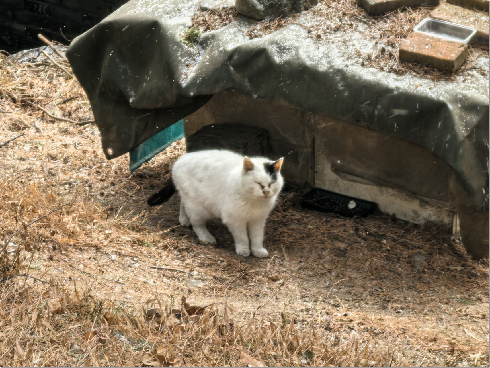 微信图片_20260118002258_670_504