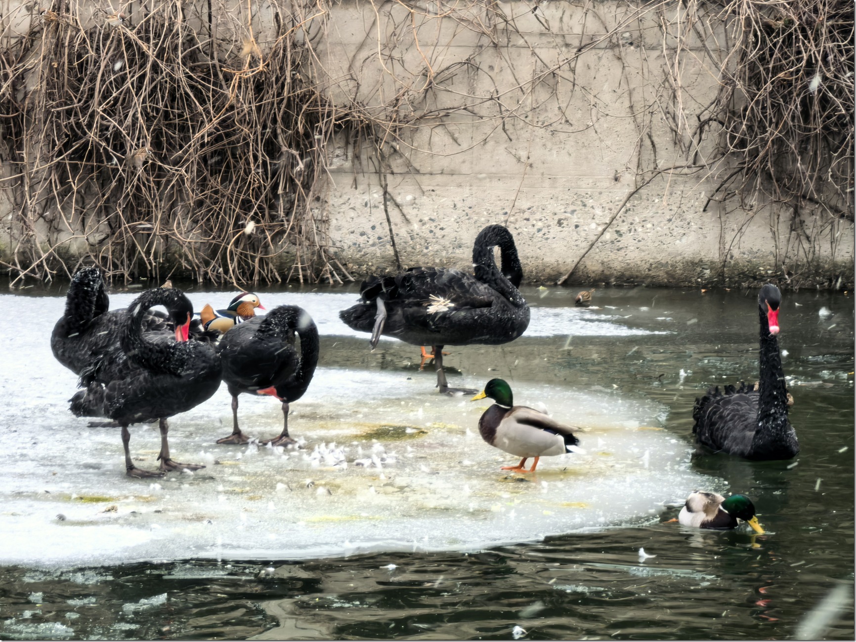 微信图片_20260118002333_689_504