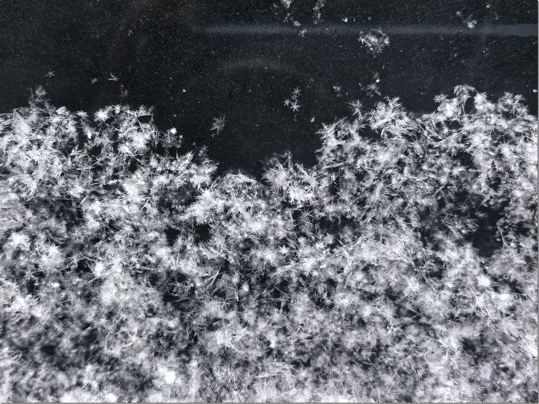 微信图片_20260118002342_694_504