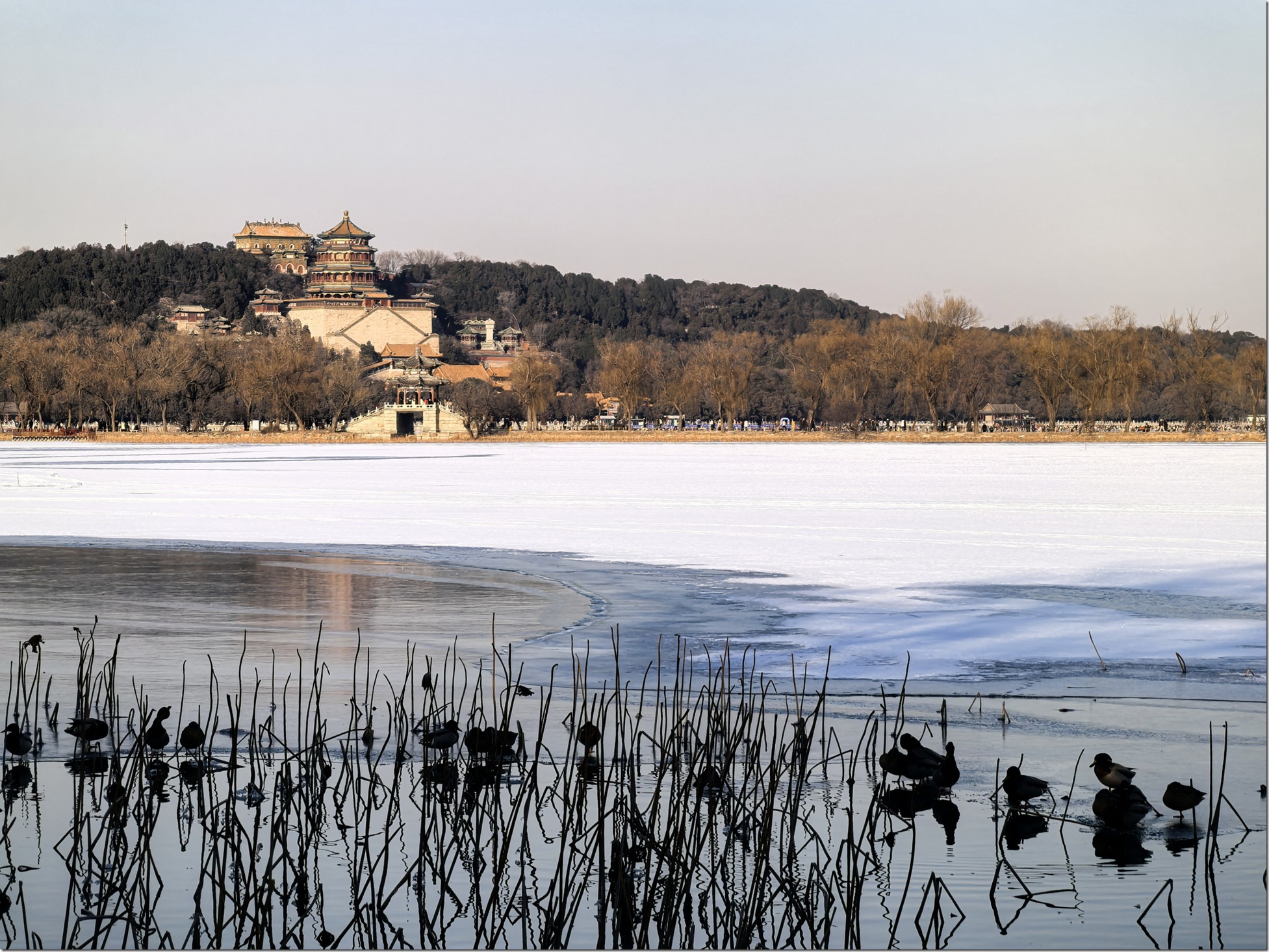 IMG_20260124_153731_edit_486713469043440